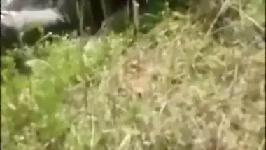 Desi XXX mms, nasty Mallu couple was caught fuck outdoor in bushes