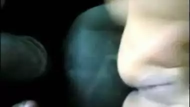 Beautiful Desi Girl Fucking in the Car